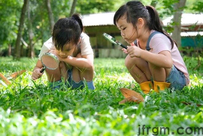 5部数理化动画片唤起孩子探索科学的兴趣赶紧收藏吧(图3)