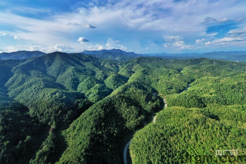 醉绿岭南 大美画卷丨让大自然做最好的老师 广东自然教育何以成为全国标杆？(图1)