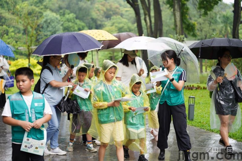 醉绿岭南 大美画卷丨让大自然做最好的老师 广东自然教育何以成为全国标杆？(图2)